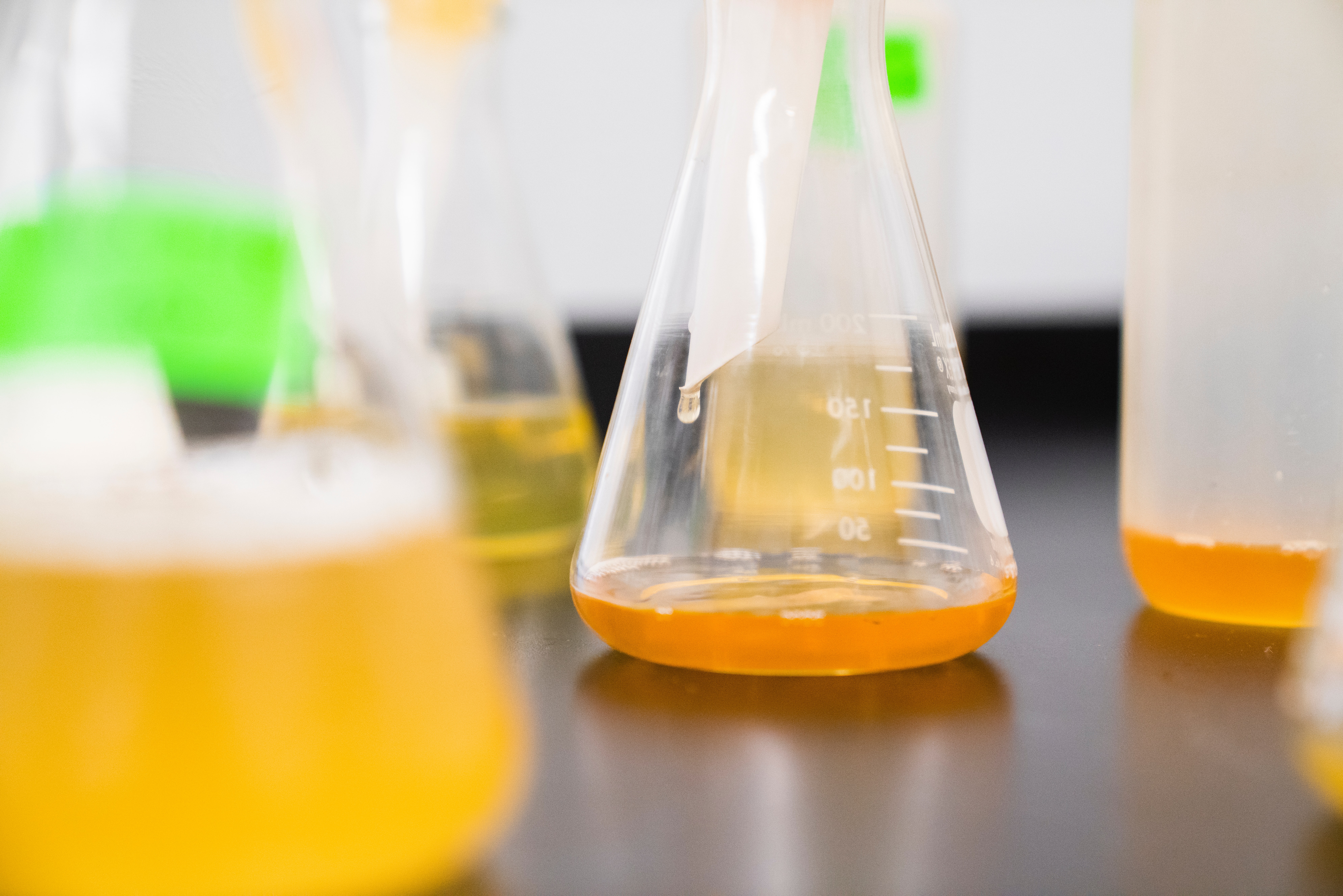 Beakers in a lab bench containing orange liquid
