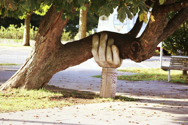 A leaning tree is supported by a wooden sculpture of a hand.