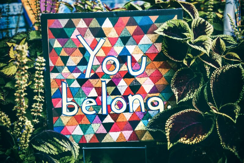 A card reads "You Belong" in white text on a rainbow-coloured mosiac background. It is placed among a selection of green tropical houseplants.