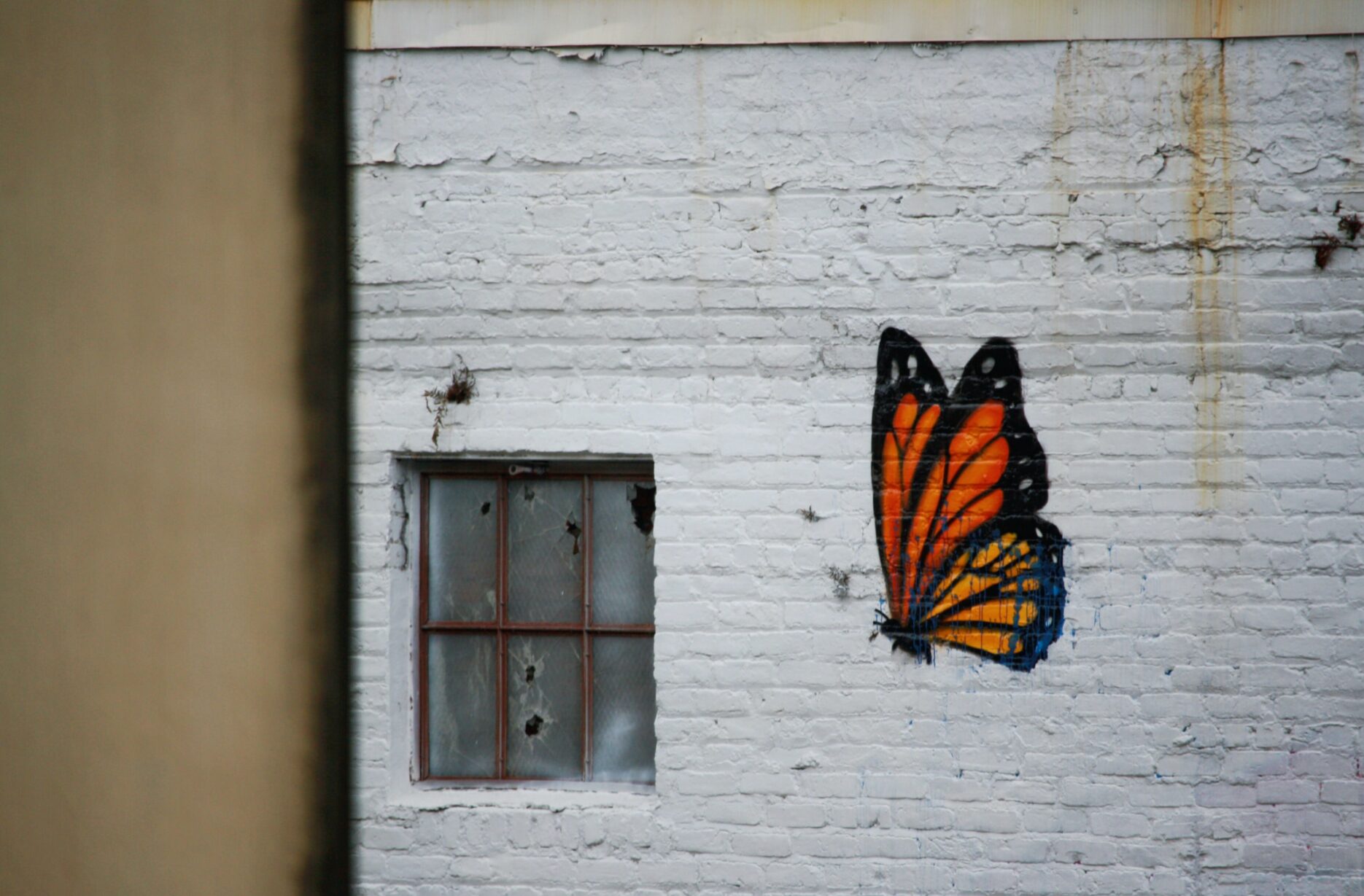A brick wall painted white is brightened with a painting of a monarch butterfly.